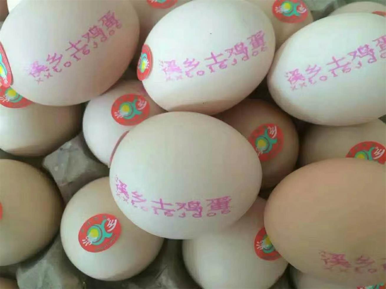 綿陽(yáng)客戶(hù)感言